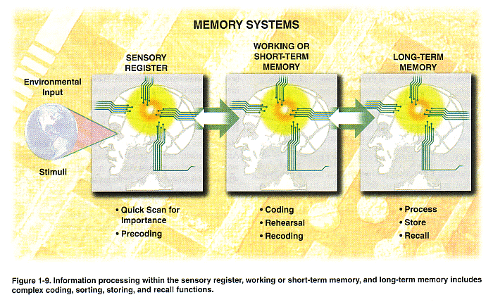 Discovered Memory Theory